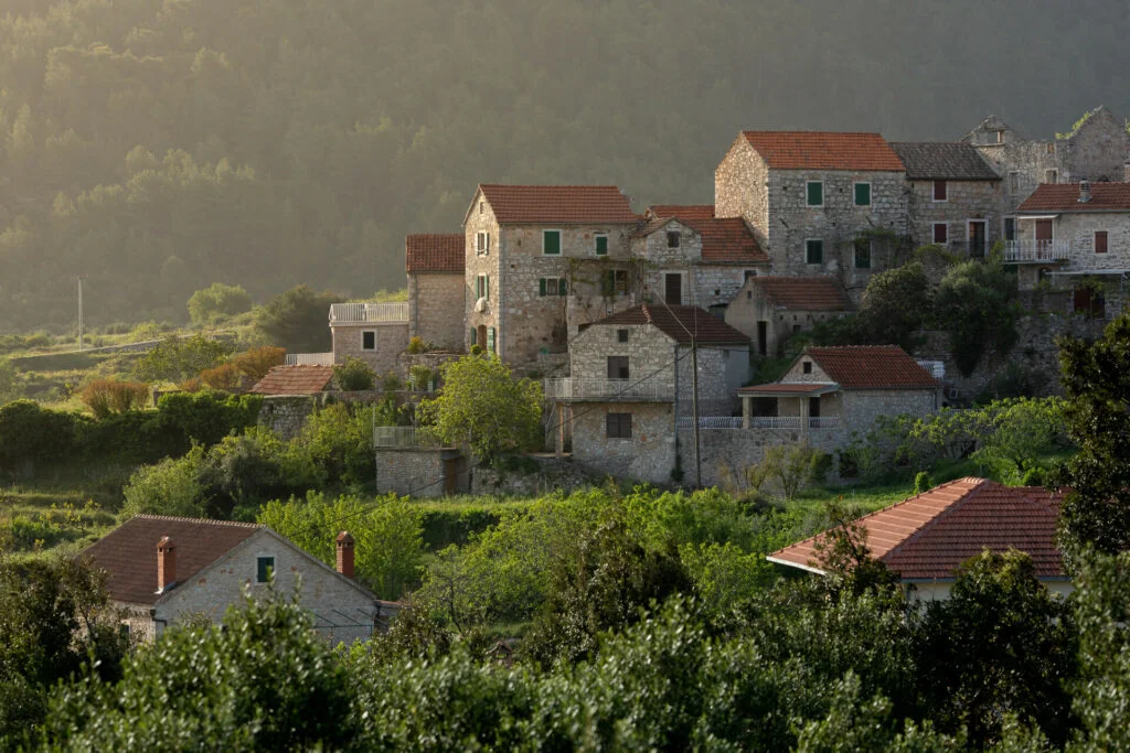 N.RADOVANI // Pitve Sunet